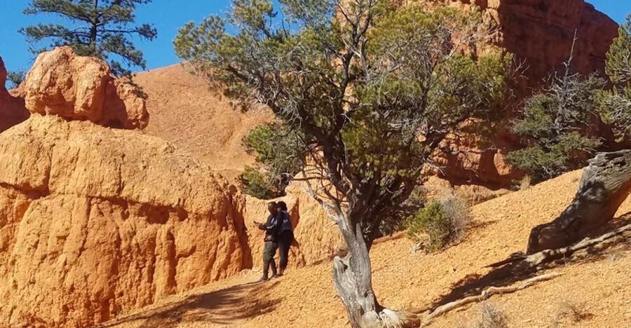 From Las Vegas: Zion and Bryce Canyon Guided Day Tour - Zion viewpoints from Angel’s Landing to the Court of the Patriarchs