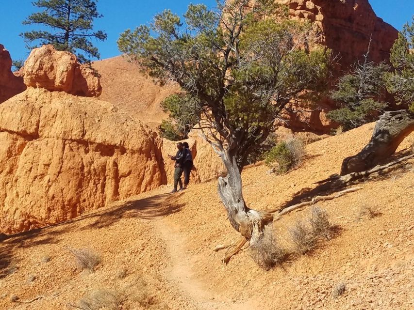 From Las Vegas: Zion and Bryce Canyon Guided Day Tour - Should you book this Zion and Bryce tour?