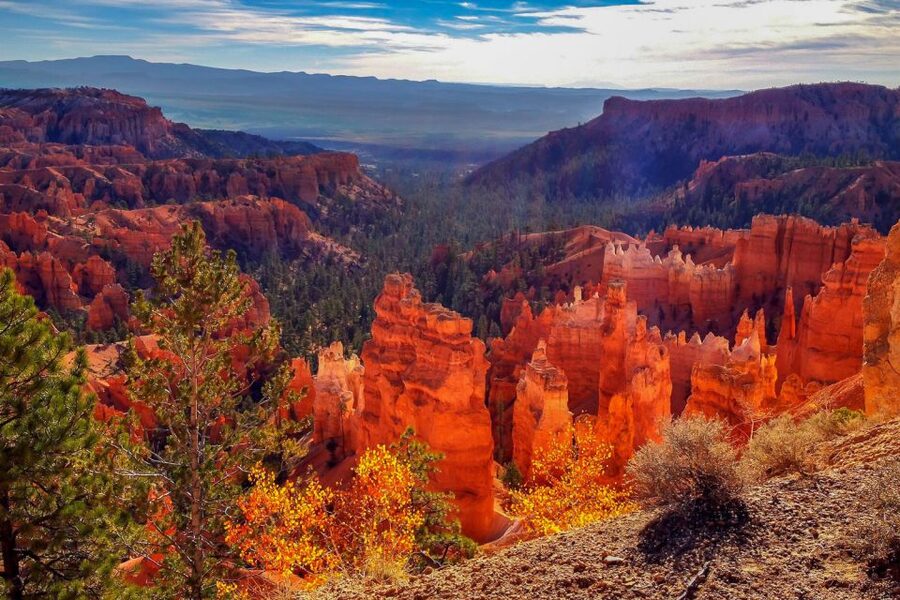 From Las Vegas: Zion and Bryce National Park Overnight Tour - Key points to know before booking