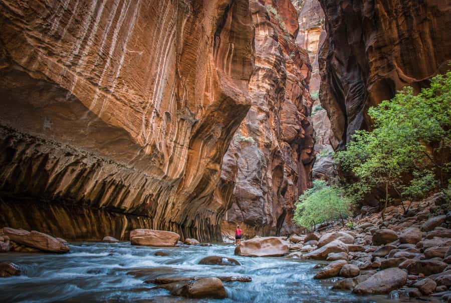 From Las Vegas: Zion National Park Day Trip - Entering Zion through the Carmel Tunnel
