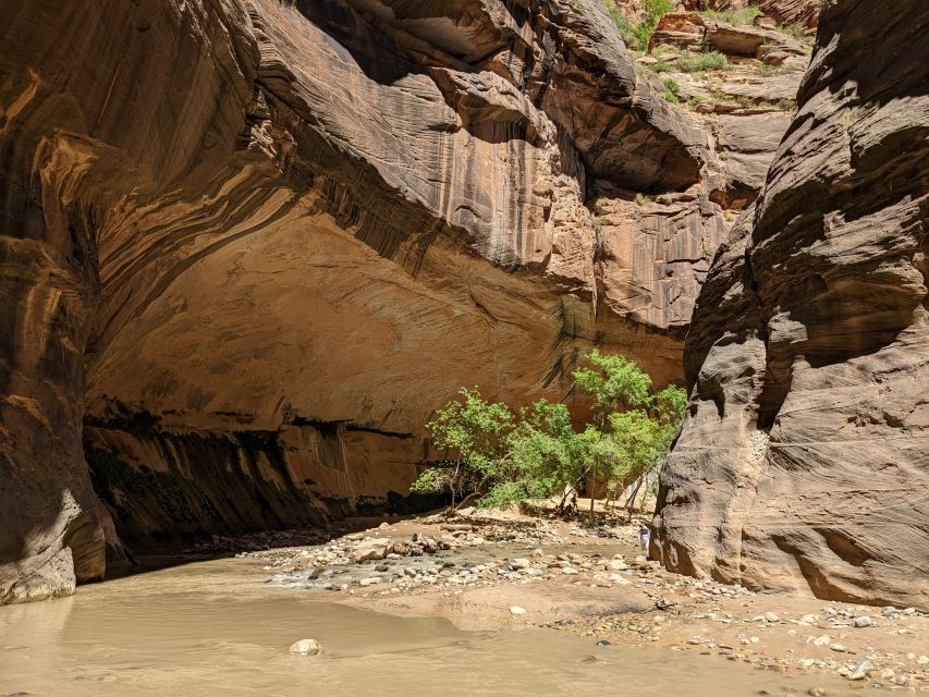 From Las Vegas: Zion National Park Small Group Adventure - Why this Zion day trip works from Las Vegas