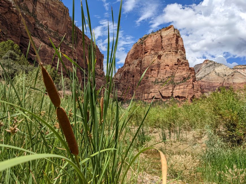 From Las Vegas: Zion National Park Small Group Adventure - What you can realistically do in six hours