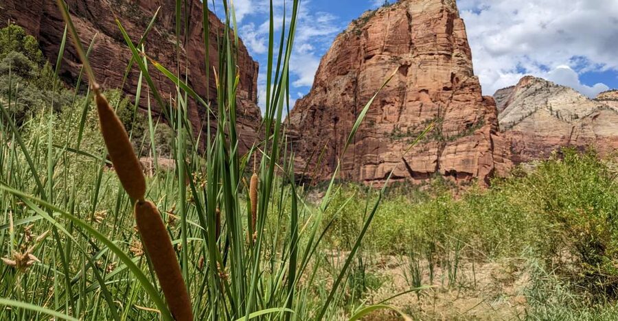 From Las Vegas: Zion National Park Small Group Adventure - What this trip does not show you