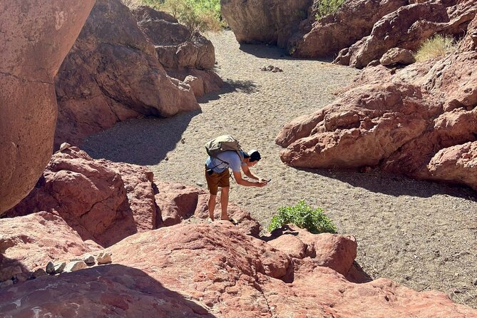 Full-Day Emerald Cave Kayak Tour: 3 Caves, Hidden Beach, Wildlife - The final paddle back to Willow Beach