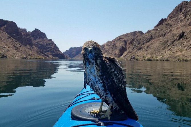 Grand Canyon Helicopter Flight with Emerald Cave Kayak Tour - Who should book this Grand Canyon and Emerald Cave tour?