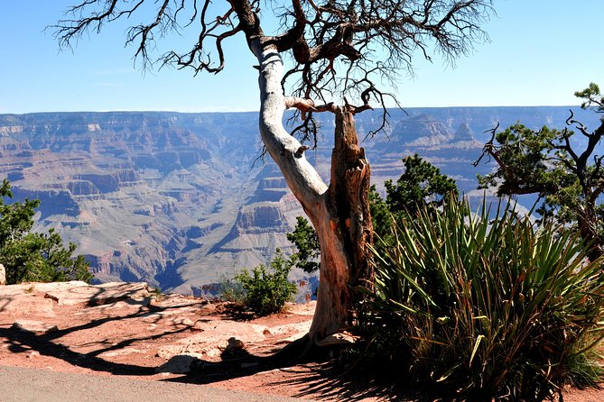 Grand Canyon National Park VIP Tour from Las Vegas - Starting before sunrise in Las Vegas