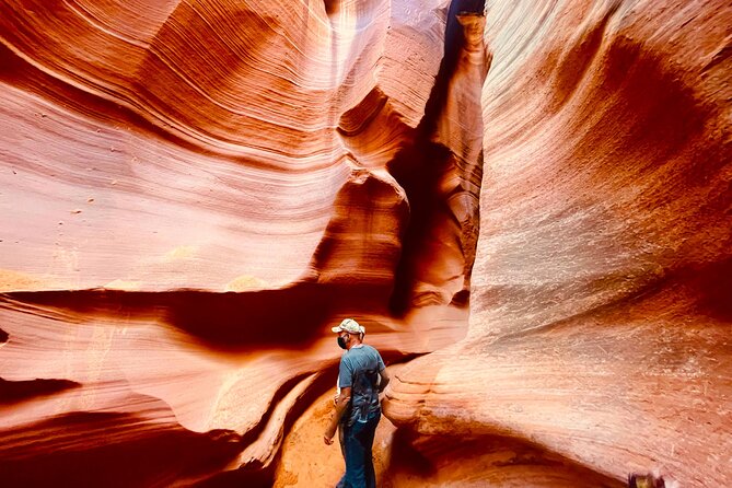 Grand Canyon South Rim, Antelope Canyon and Horseshoe Bend Tour - Dinosaur tracks add an unusual stop
