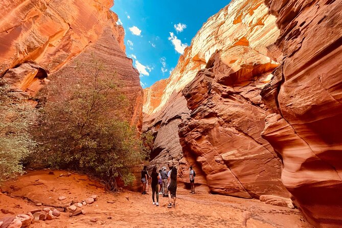 Grand Canyon South Rim, Antelope Canyon and Horseshoe Bend Tour - The Grand Canyon South Rim is the main event