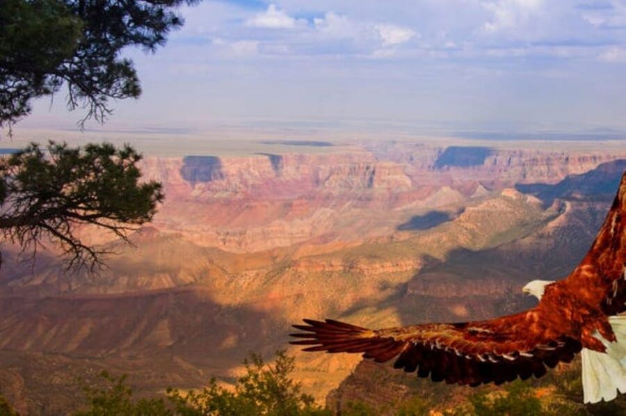 Grand Canyon West: 1-Day Entrance Ticket - Key points to know before you book