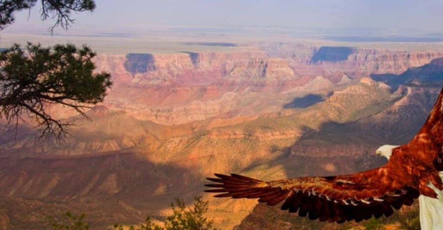 Grand Canyon West: 1-Day Entrance Ticket - Starting at the Visitor Center