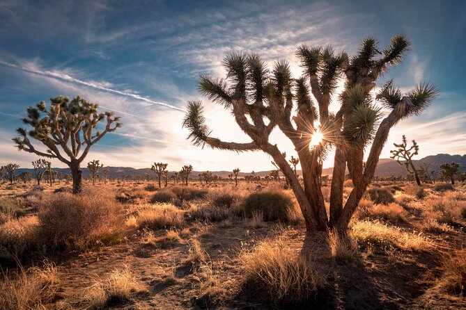 Grand Canyon West, Hoover Dam and Seven Magic Mountains & LV Sign - Hoover Dam in a focused 30 minutes