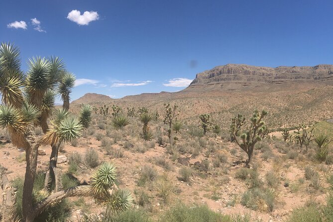 Grand Canyon Western Ranch Overnight Stay by Helicopter & Ground - Sunrise, breakfast, and the Joshua Tree Forest