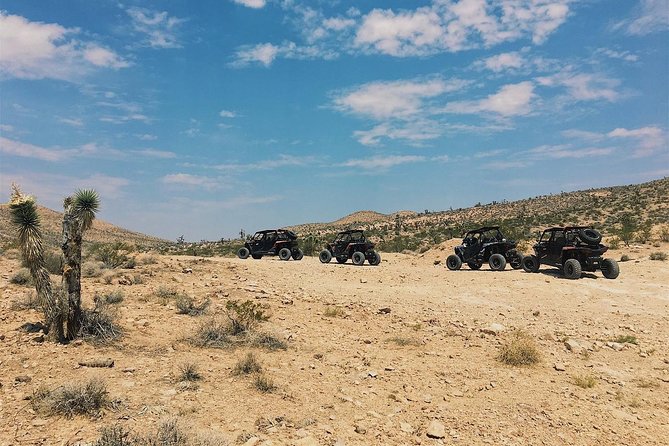 Guided Mojave Desert Off Road RZR Adventure - Who Will Enjoy This Most?