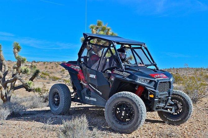Guided Mojave Desert Off Road RZR Adventure - Two Hours Across the Mojave Desert