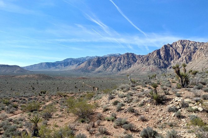 Guided Mountain Bike Tour of Mustang Trail in Red Rock Canyon - The Two-Mile Descent Through Black Velvet