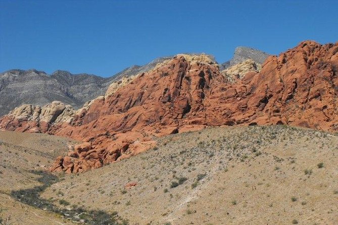Guided Mountain Bike Tour of Mustang Trail in Red Rock Canyon - How Guides Shape the Ride