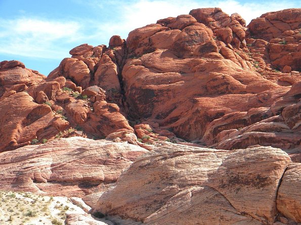Guided Mountain Bike Tour of Mustang Trail in Red Rock Canyon - Who Will Get the Most From This Tour