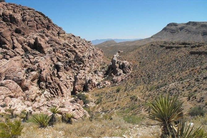 Guided Mountain Bike Tour of Mustang Trail in Red Rock Canyon - Choosing a Bike and Getting Ready
