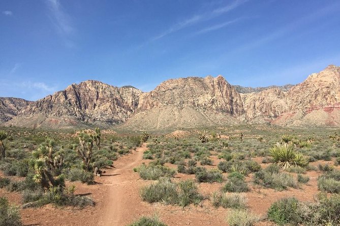 Guided or Self-Guided Road Bike Tour of Red Rock Canyon - Transportation is useful, but confirm the pickup point