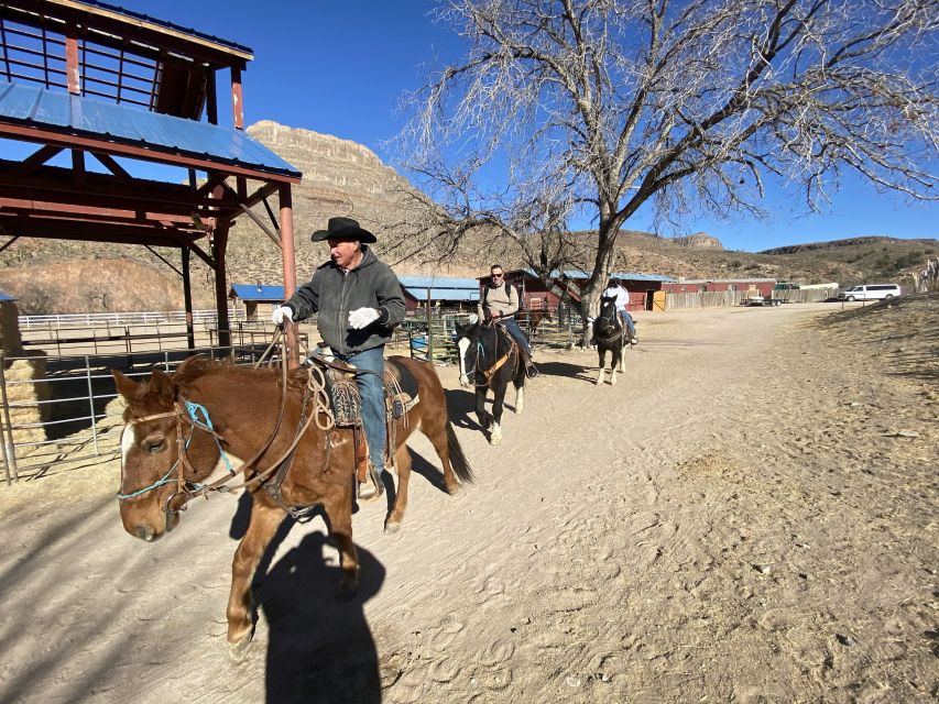 Horseback Ride thru Joshua Tree Forest with Buffalo & Lunch - Buffalo viewing beside the trail