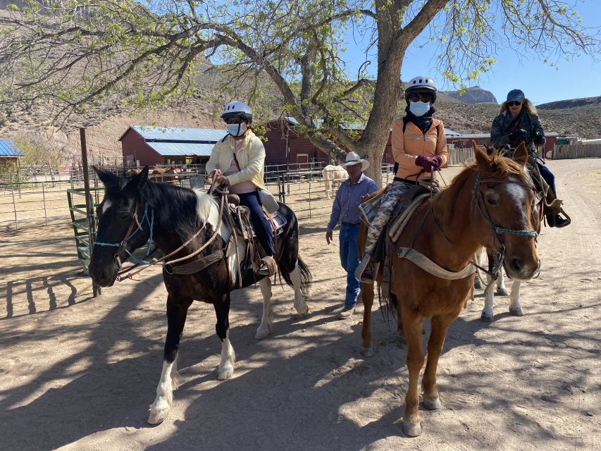 Horseback Ride thru Joshua Tree Forest with Buffalo & Lunch - How the small group changes the experience