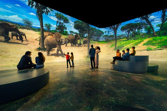 Illuminarium Las Vegas at AREA15 - Light Brite and the best family moments