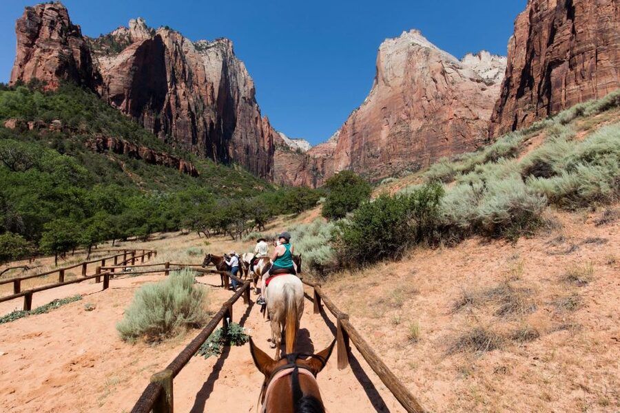LA: Vegas, Grand Canyon, Antelope and Bryce, Zion 4-Day Tour - Day 2: the South Rim and Navajo country