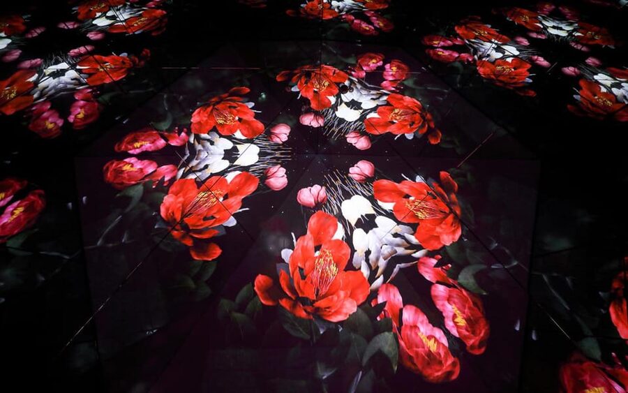 Las Vegas: Arte Museum Las Vegas Immersive Art Exhibition - Key points to know before you go