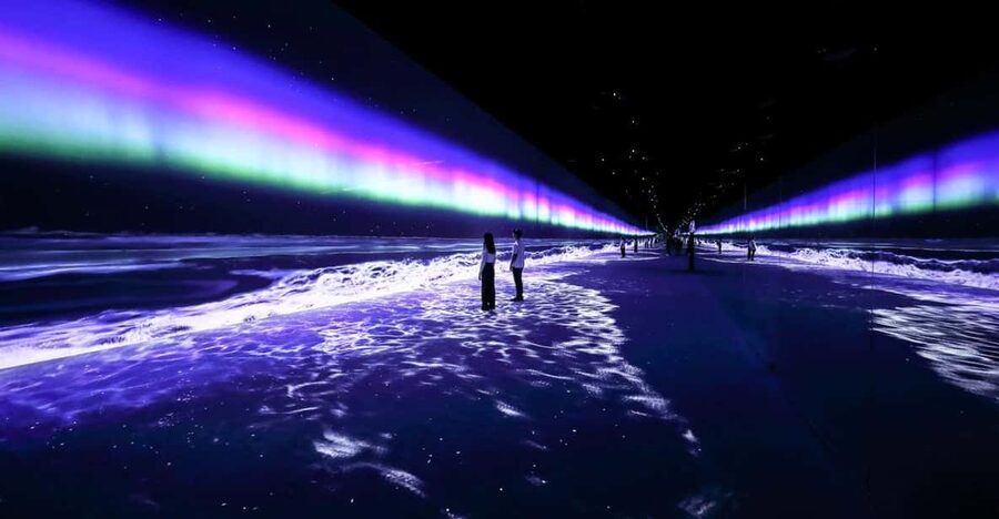 Las Vegas: Arte Museum Las Vegas Immersive Art Exhibition - How the digital rooms unfold