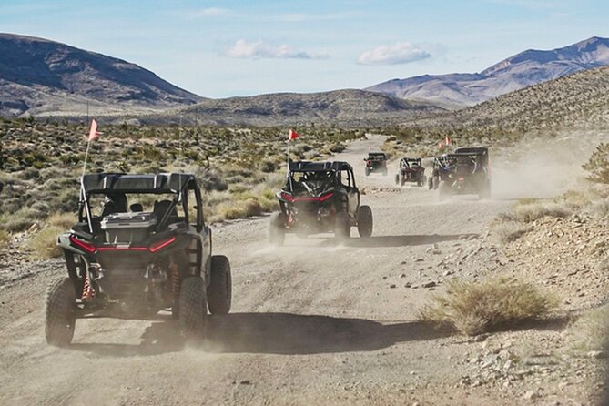 Las Vegas ATV Tour with Free Transportation - Who should book this ride?