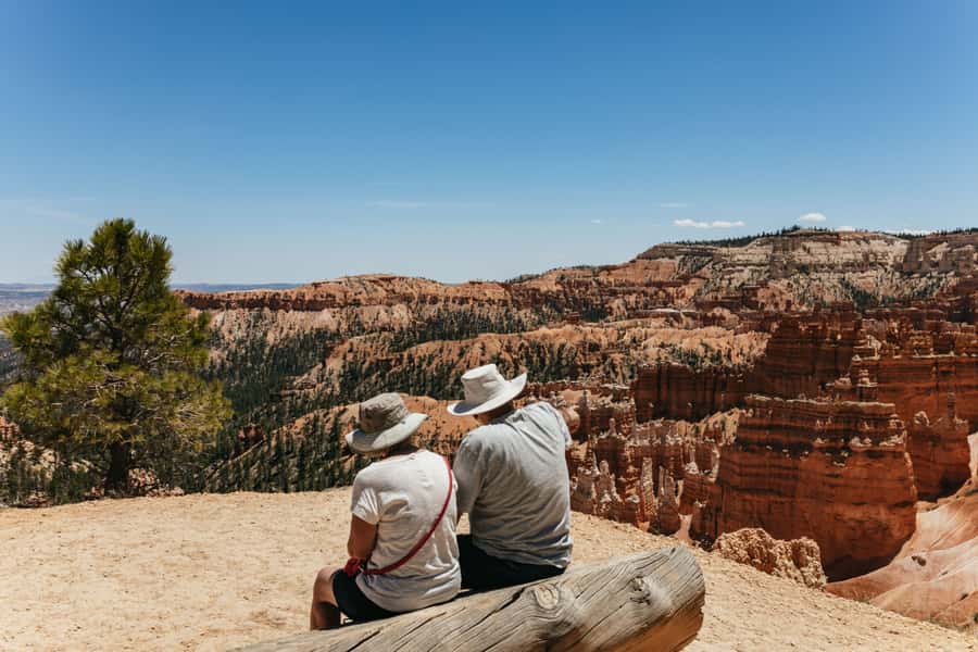 Las Vegas: Bryce and Zion National Parks Tour with Lunch - Zion’s sandstone walls and the mountain tunnel