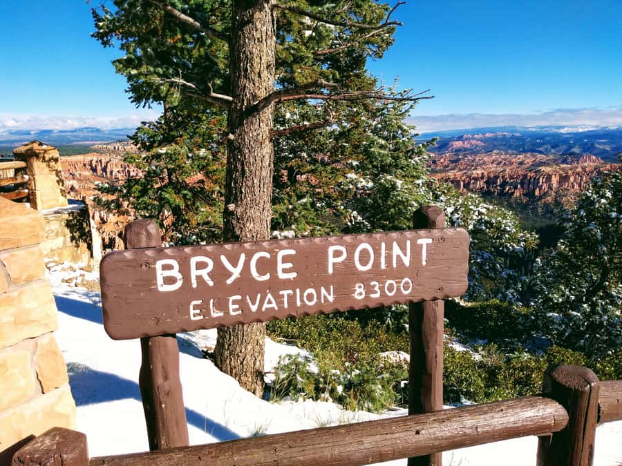 Las Vegas: Bryce and Zion National Parks Tour with Lunch - Bryce Canyon’s rim and the hoodoo walk