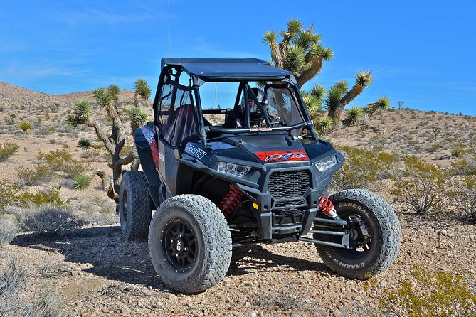 Las Vegas Desert RZR Adventure Tour at the Pioneer Saloon - Safety is handled seriously, but you still have responsibilities