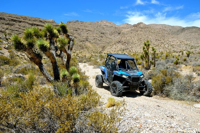 Las Vegas Desert RZR Adventure Tour at the Pioneer Saloon - What driving a RZR feels like