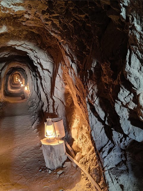 Las Vegas: El Dorado Canyon, Ghost Town and Gold Mine Tour - Who will enjoy this four-hour outing