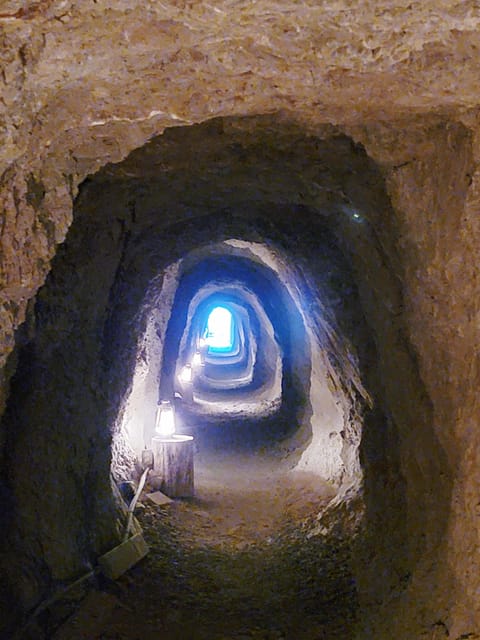 Las Vegas Eldorado Canyon & Nelson Ghost Town Adventure Tour - Who should book this Eldorado Canyon outing?