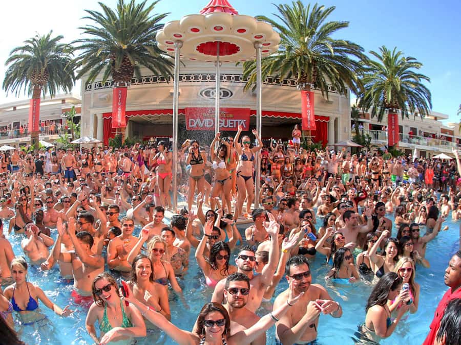 Las Vegas: Famous Pool Party Tour with Party Bus & Drinks - Check-in sets the pace for the afternoon