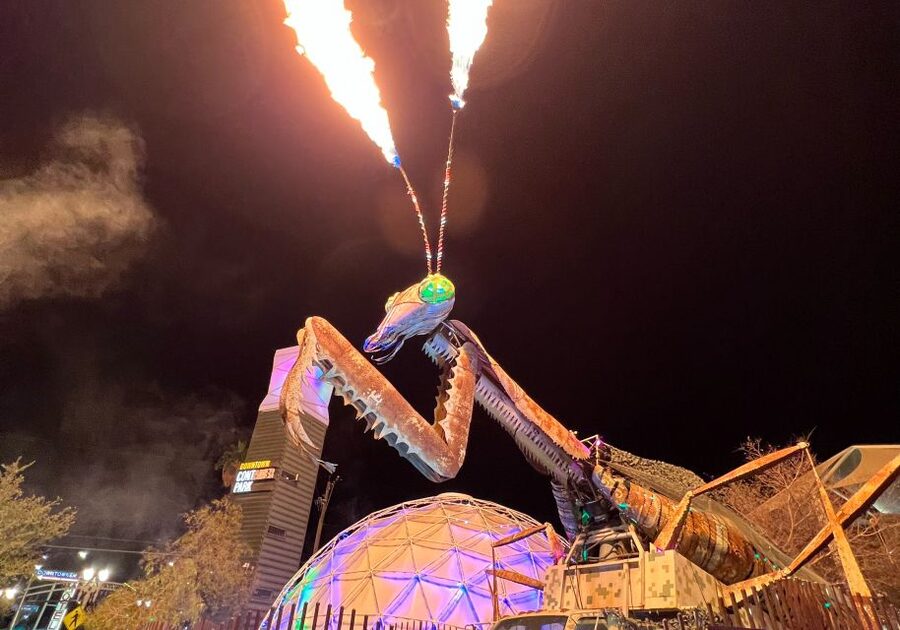 Las Vegas: Fremont Experience Guided Walking Tour & Drinks - Who should book this walk