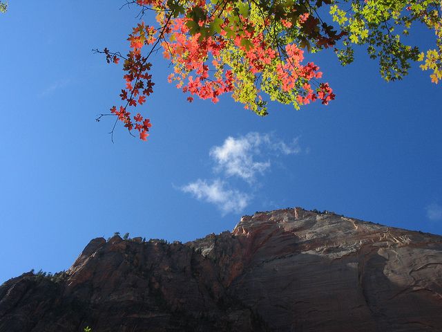 Las Vegas: Grand Canyon, Antelope, Bryce and Zion 3-Day Tour - Hotels, food, and what is really included