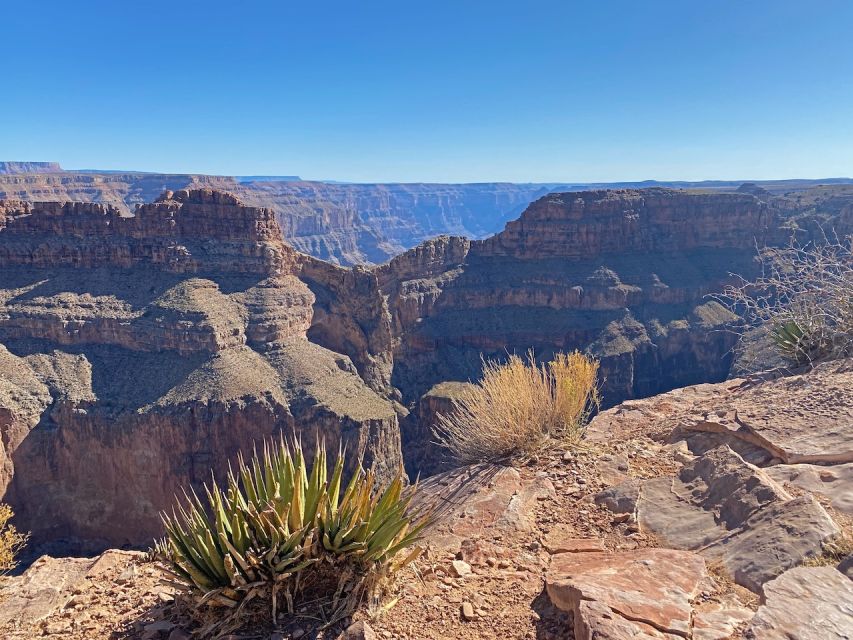 Las Vegas: Grand Canyon Helicopter Ride, Boat Tour & Skywalk - A quiet pontoon ride on the Colorado River