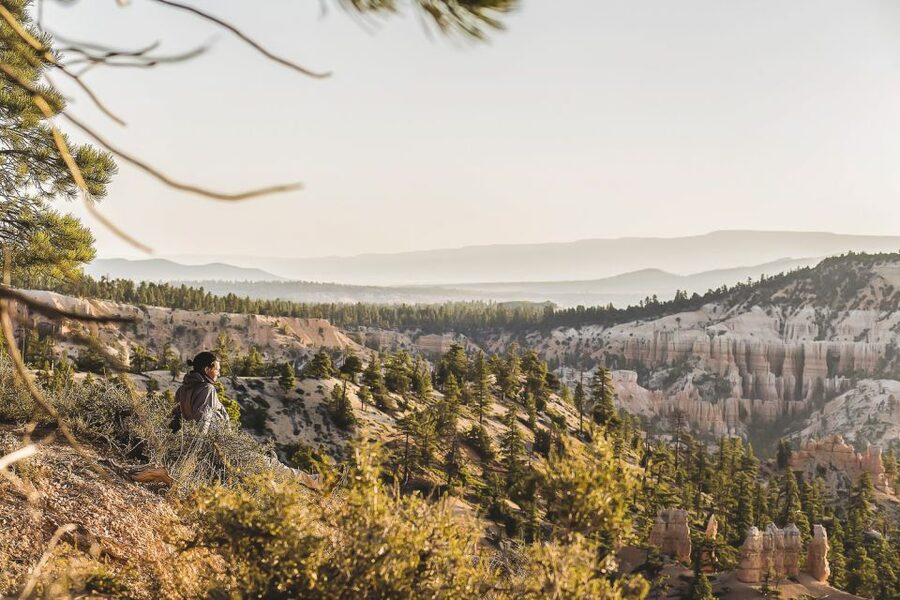 Las Vegas: Grand Canyon National Park South Rim Guided Tour - The Kaibab National Forest approach