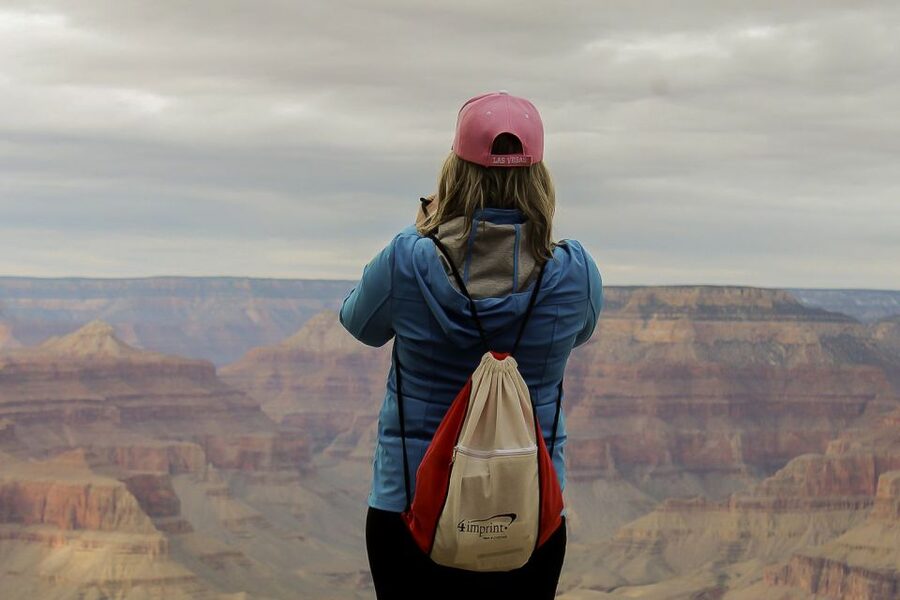 Las Vegas: Grand Canyon National Park South Rim Guided Tour - Mather Point: your first big canyon view