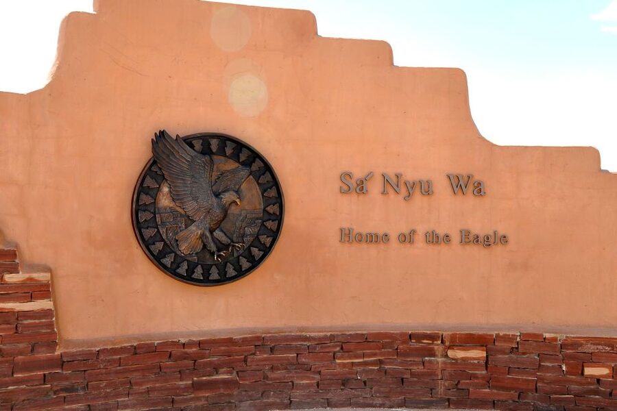 Las Vegas: Grand Canyon Tour & Helicopter Landing Experience - Joshua trees and the High Desert