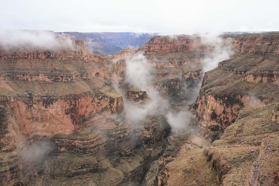 Las Vegas: Grand Canyon West Rim Tour with Helicopter Flight - The road west through Joshua Tree Forest