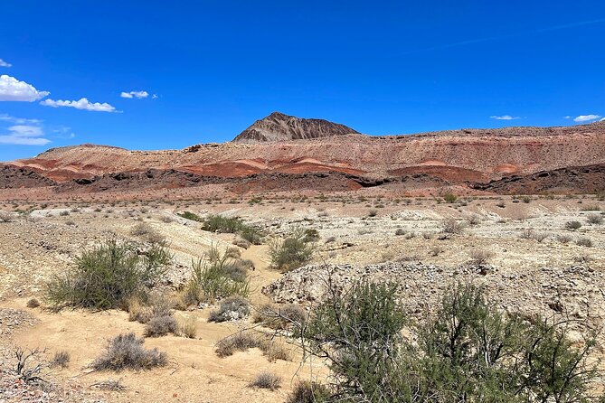Las Vegas Guided Off-Road Adventure to Boathouse Cove - Who should book this Bronco adventure