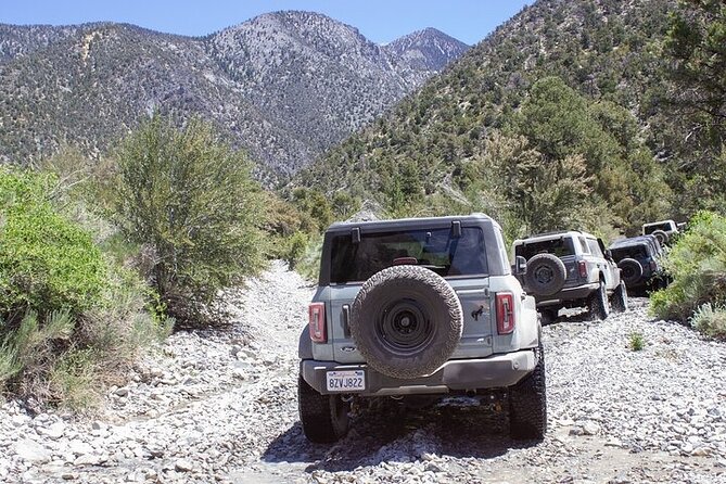 Las Vegas Guided Off-Road Adventure to Callville Wash - Why the enclosed Bronco matters in Nevada
