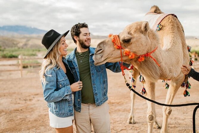 Las Vegas Guided UTV Safari and Zoo Tour - Key points at a glance
