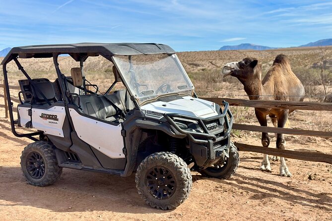 Las Vegas Guided UTV Safari and Zoo Tour - How the 2-hour-30-minute schedule works