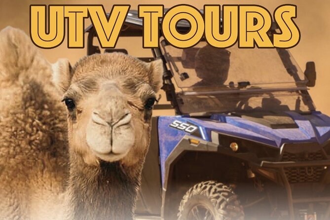 Las Vegas Guided UTV Safari and Zoo Tour - Meeting Thorn, the porcupine, and the two-toed sloth
