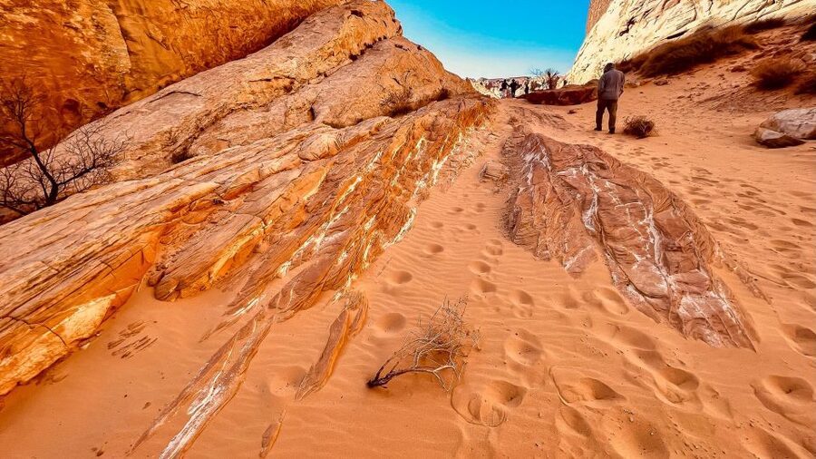 Las Vegas: Hoover Dam, Valley of Fire, Boulder City Day Tour - Is $149 a good value?